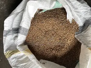 Sorghum Grain 10kg
