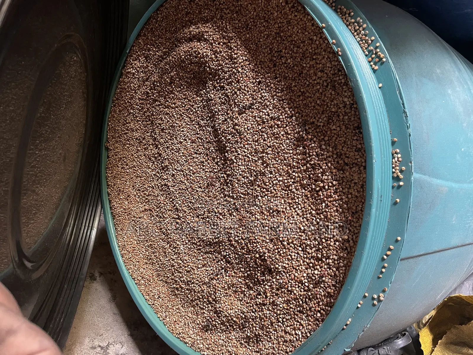 Sorghum Grain 10kg