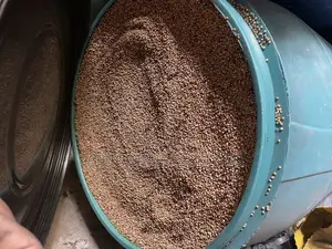 Sorghum Grain 10kg