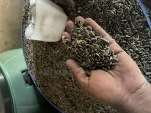 Sunflower Seeds 10kg