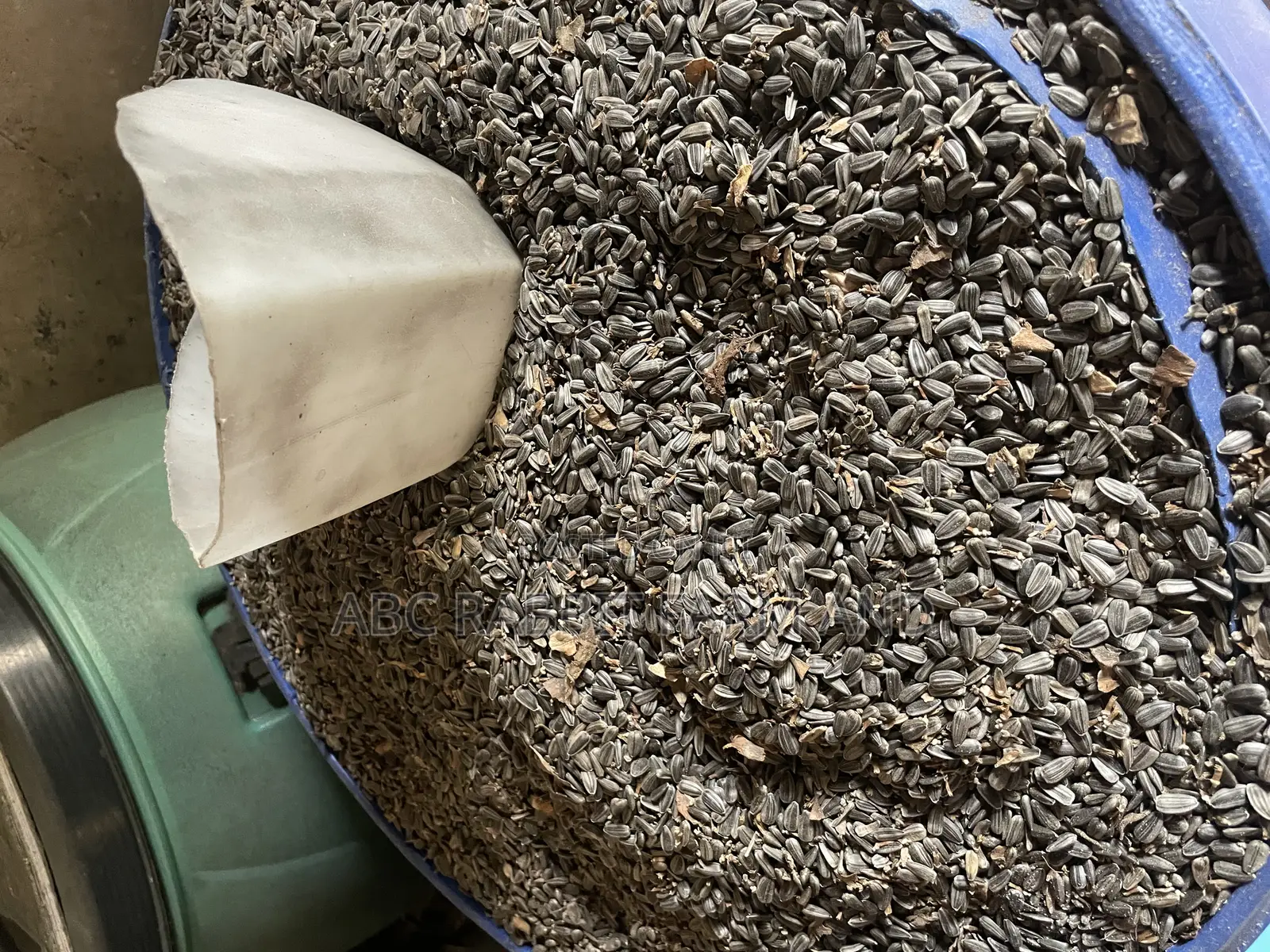 Sunflower Seeds 10kg