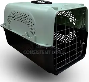 Big Size 
Pet Travel Carrier Dog Cat Rabbit Basket Plastic Handle