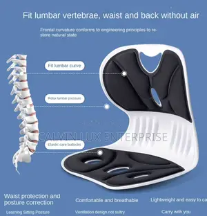 Lumbar Back Posture Corrector Seat
