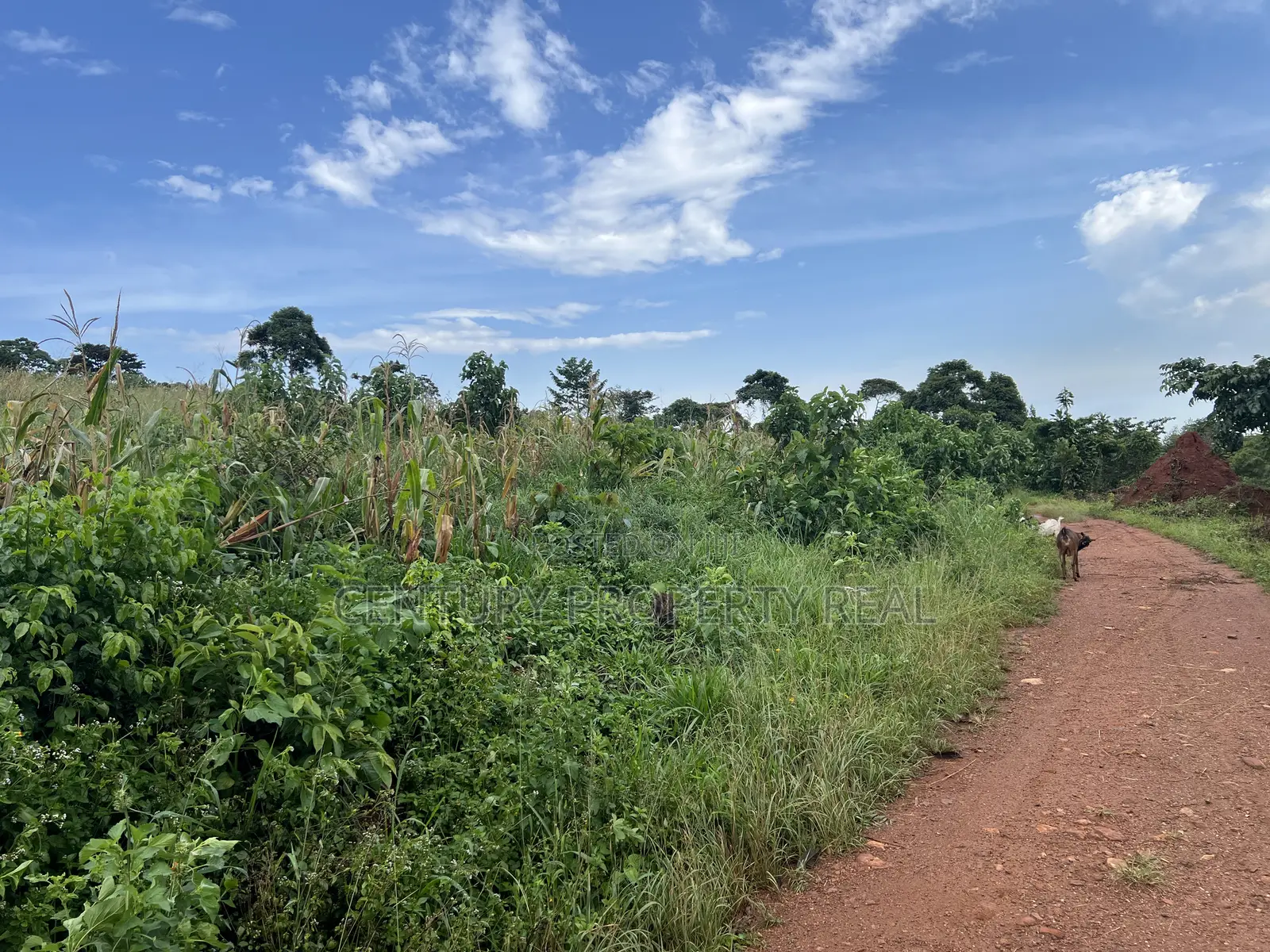 Land at Kisoga Katonsi Road