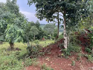 Land at Kisoga Katonsi Road