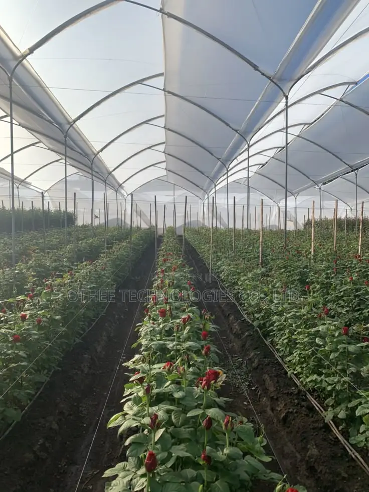 Commercial Greenhouse Design