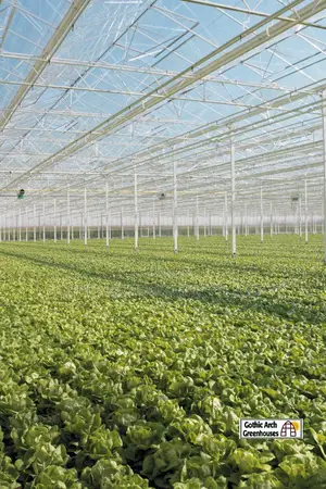 Commercial Greenhouse Design