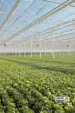 Commercial Greenhouse Design