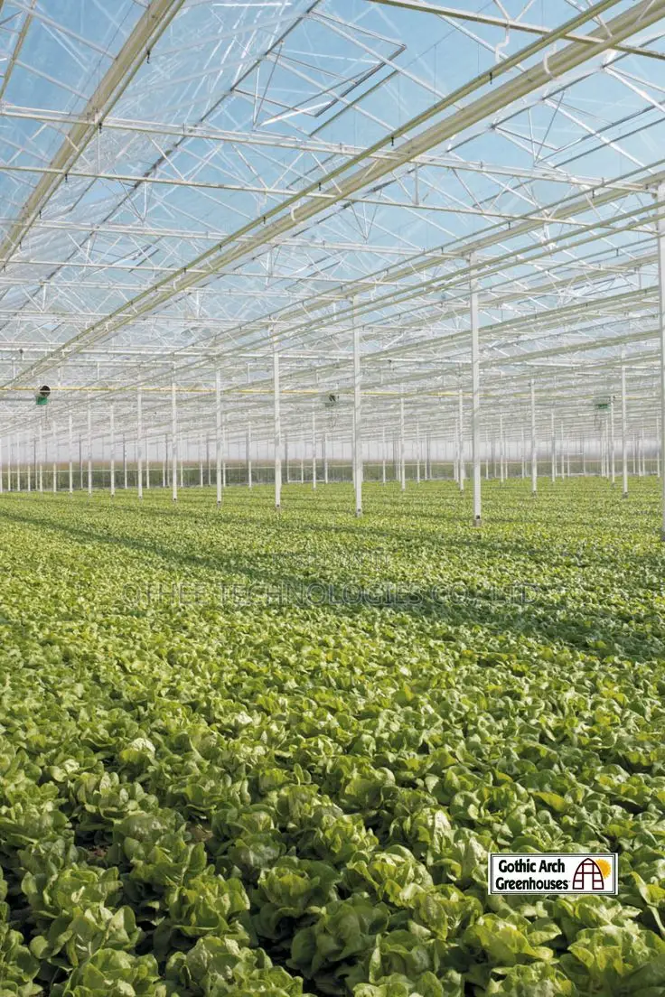 Commercial Greenhouse Design