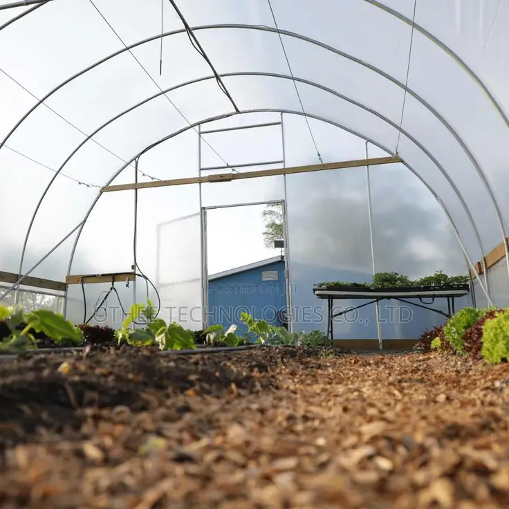 Tunnel Greenhouse Construction