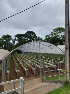 Tunnel Greenhouse Construction