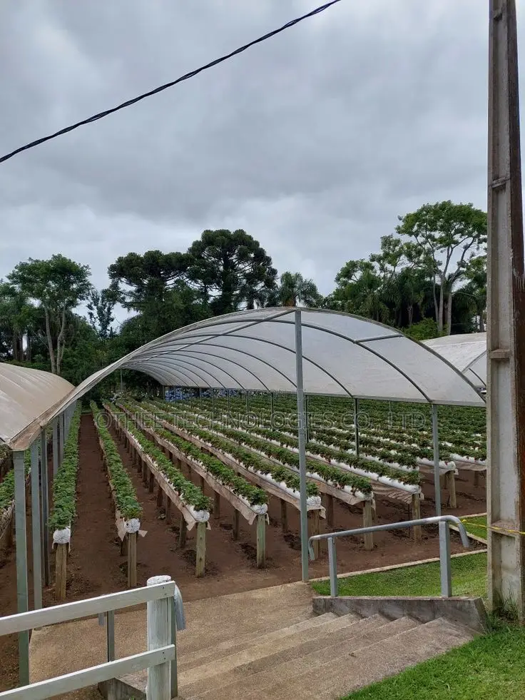 Tunnel Greenhouse Construction