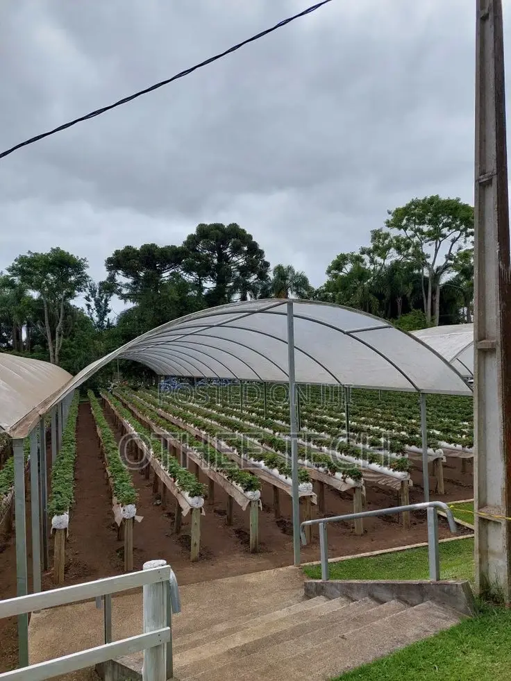 Tunnel Greenhouse Construction
