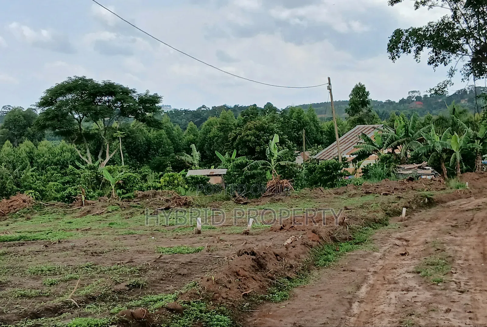 Prime Plots for Sale at Nakirebe~Kololo Town Along Masaka Road.