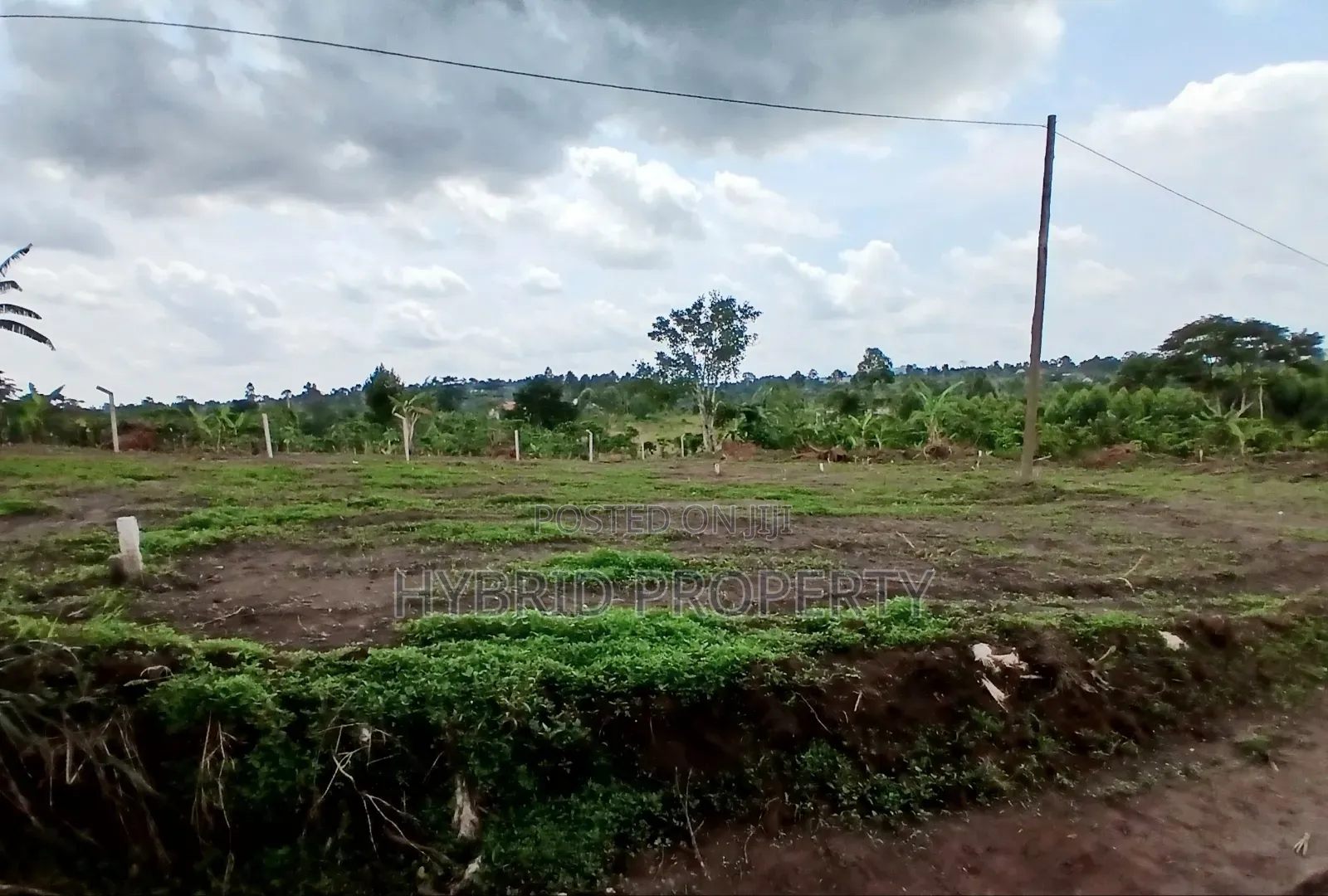 Prime Plots for Sale at Nakirebe~Kololo Town Along Masaka Road.
