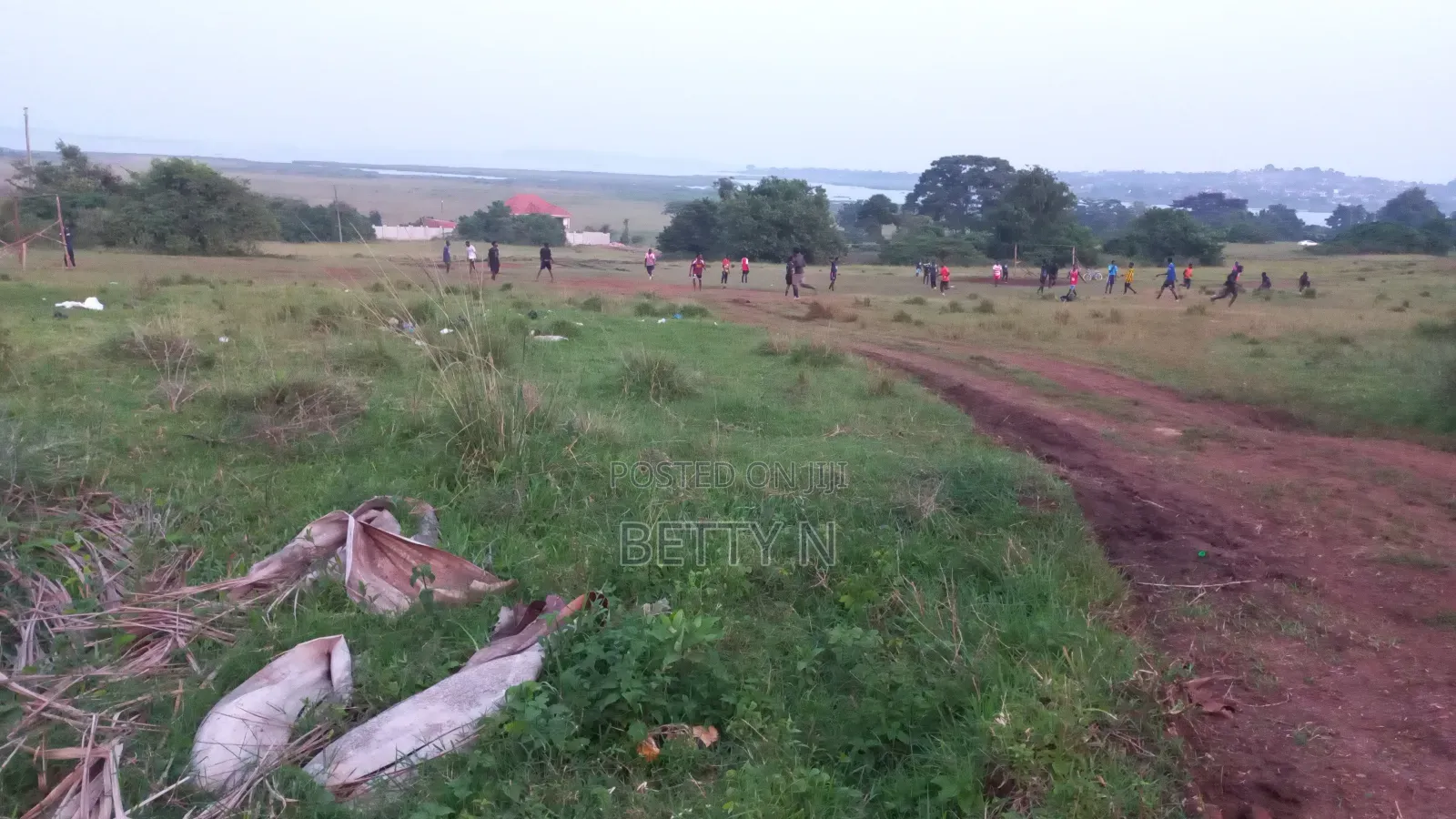 Land for Sale at Lutembe