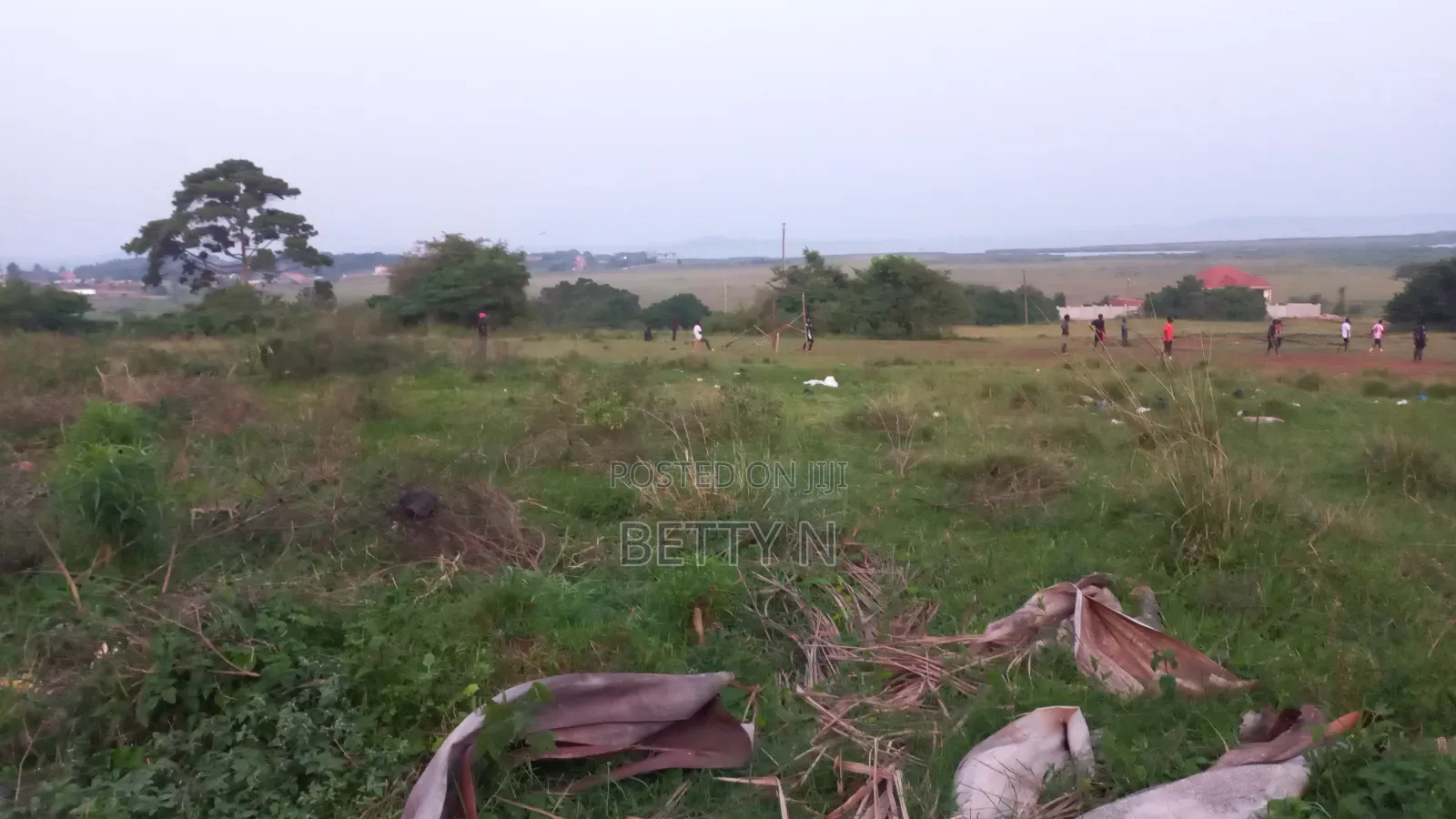 Land for Sale at Lutembe