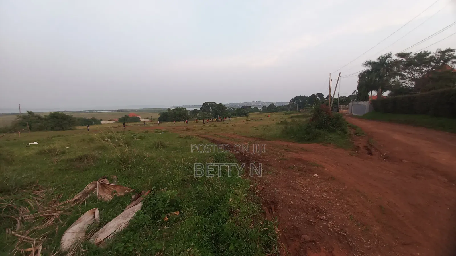 Land for Sale at Lutembe