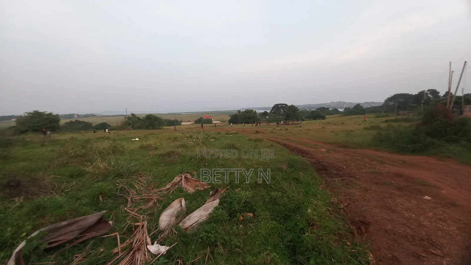 Land for Sale at Lutembe