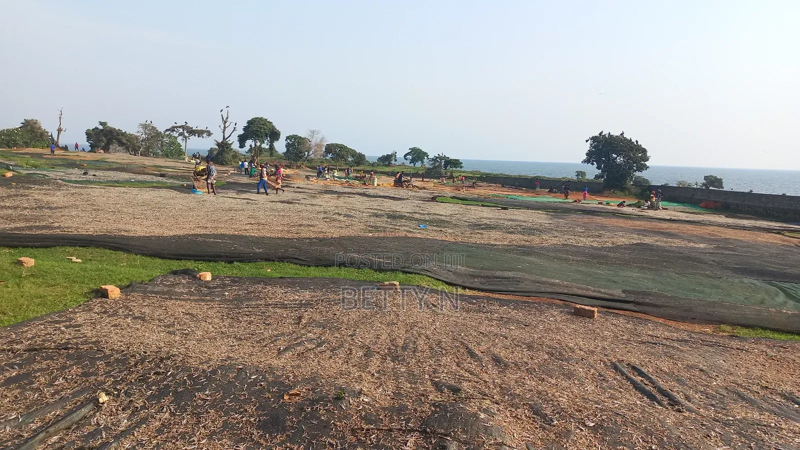 Land for Sale at Kasenyi