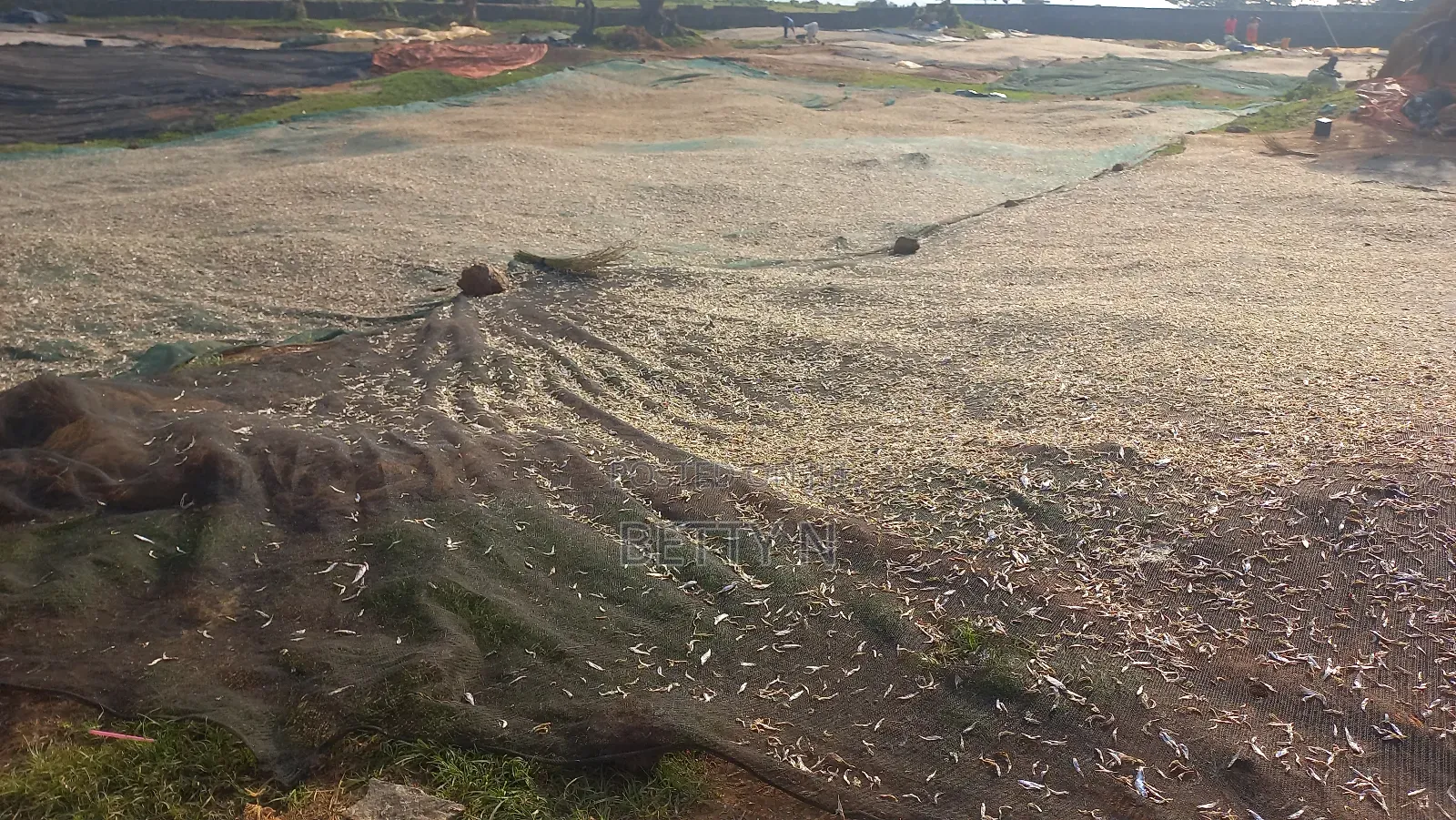 Land for Sale at Kasenyi