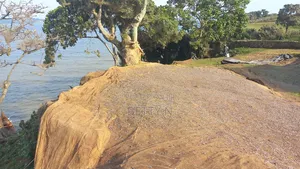 Land for Sale at Kasenyi