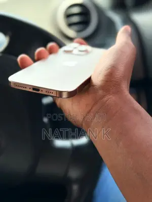 Apple iPhone 16 Pro Max 256 GB Rose Gold
