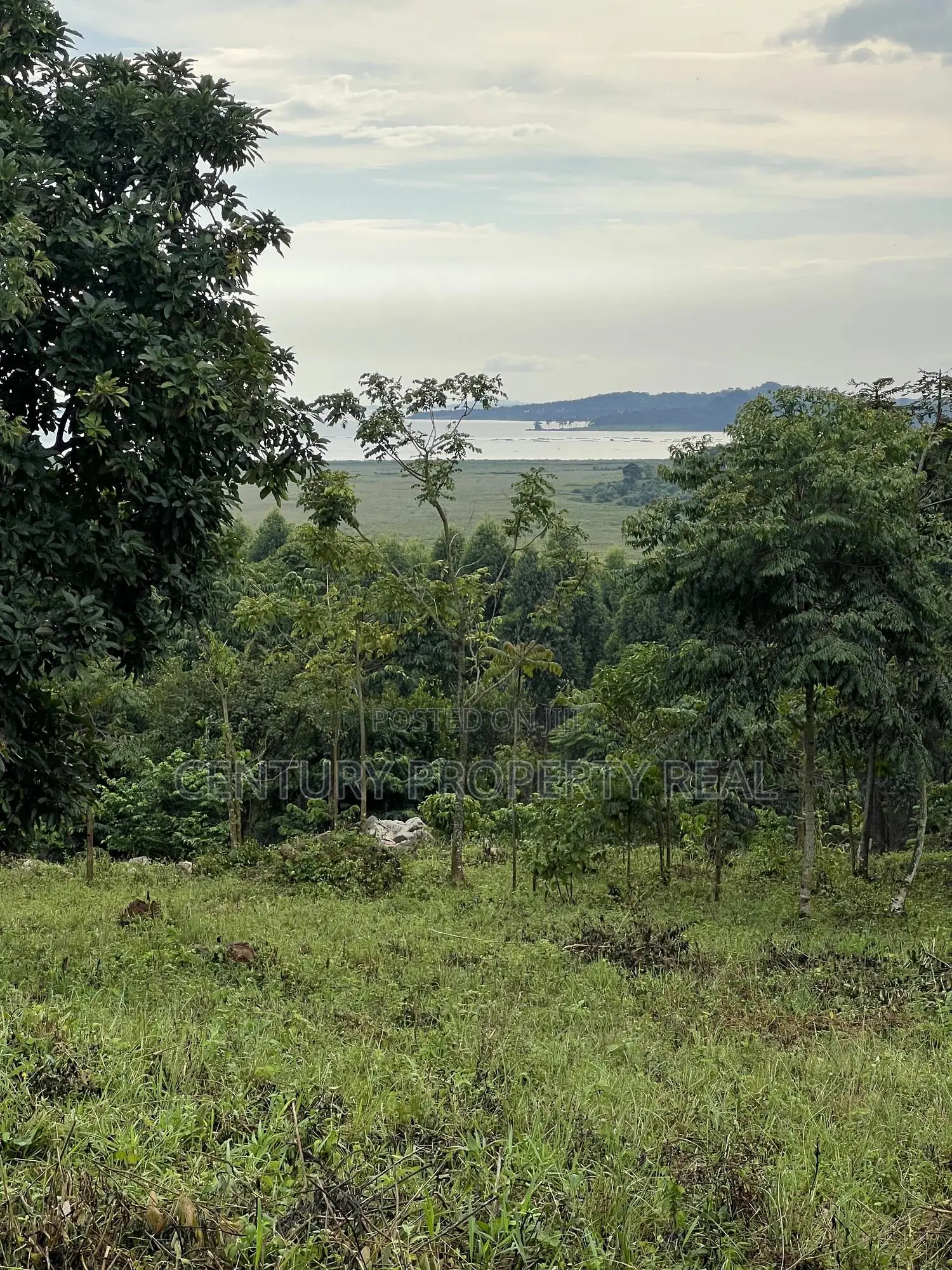Land at Kisoga Katonsi Road