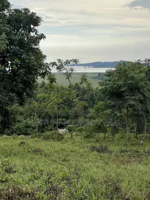 Land at Kisoga Katonsi Road