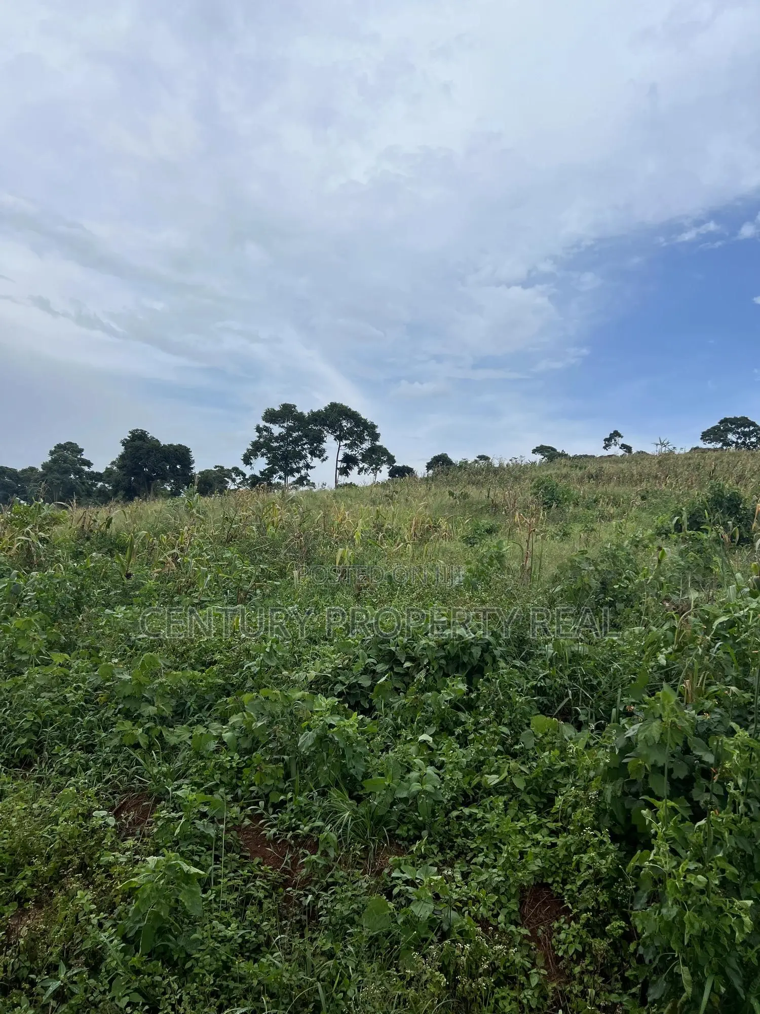 Land at Kisoga Katonsi Road