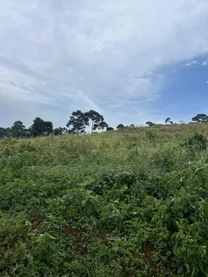 Land at Kisoga Katonsi Road