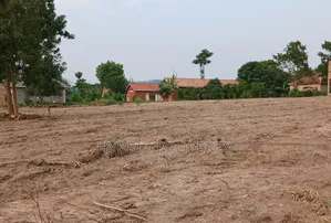 Prime Plots for Sale at Bukalango Kulya Show Estate Along Hoima Road.