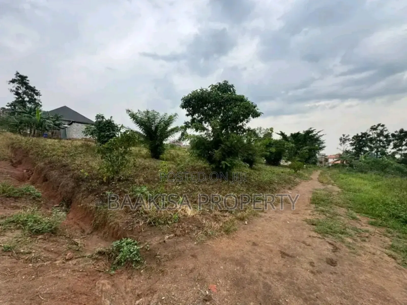 70ft by 50ft Plot on Sell in Matugga Buwambo