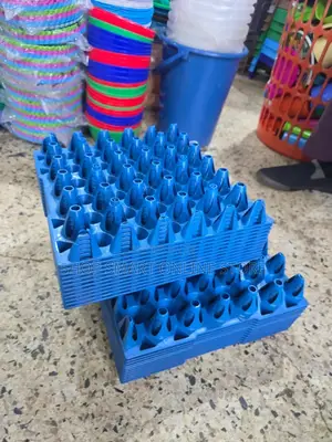 Plastic Egg Trays Holder 60pcs