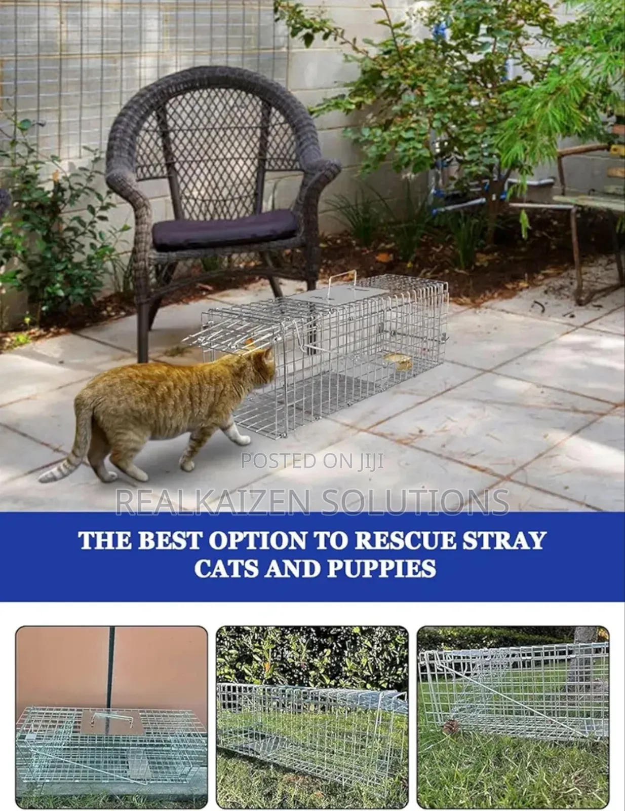 Heavy Duty Galvanized Steel Cage Animal Trap|