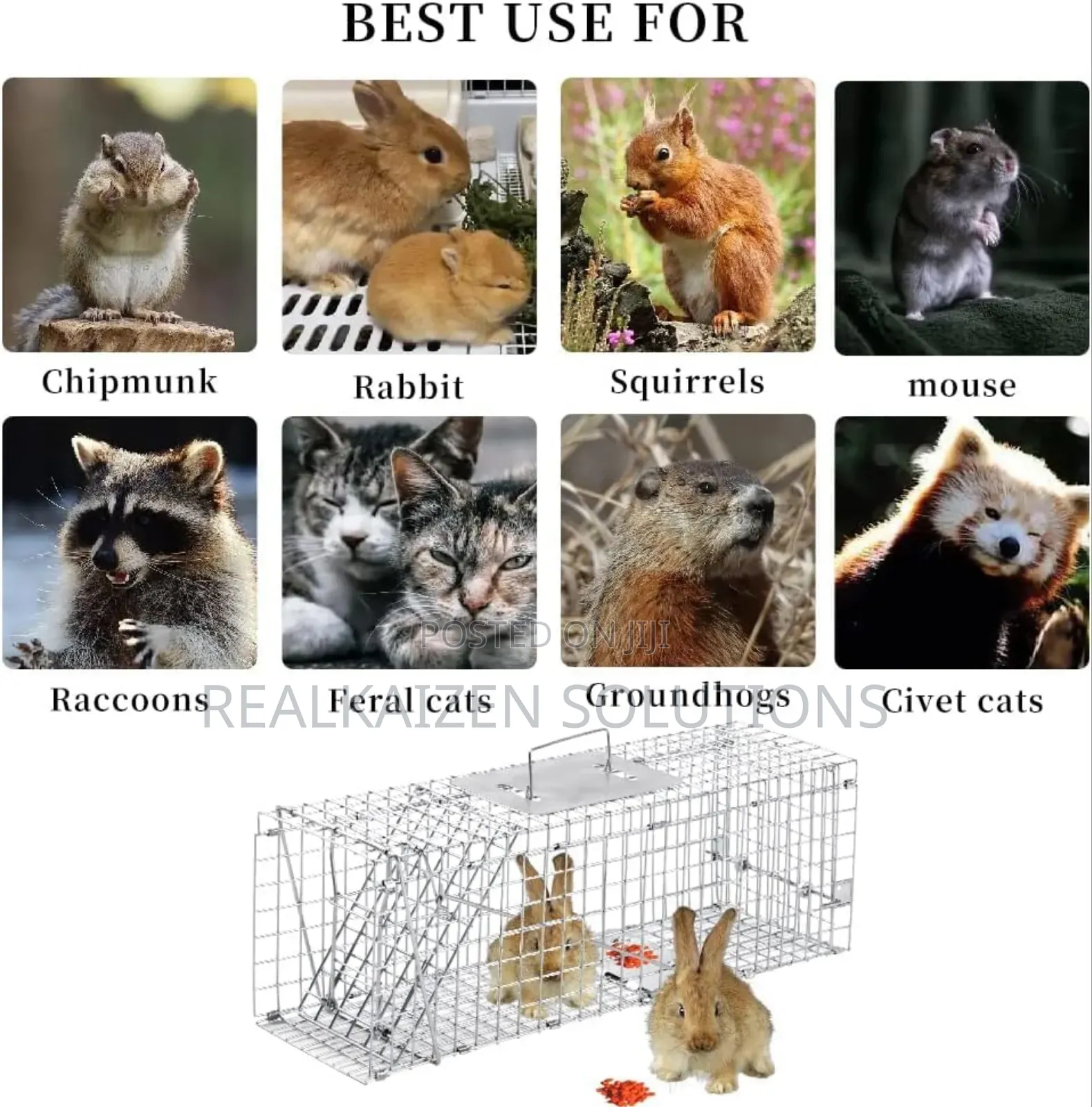 Heavy Duty Galvanized Steel Cage Animal Trap|