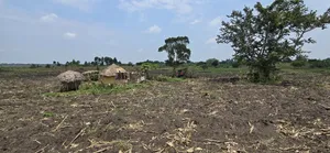 Agricultural Land 900acers