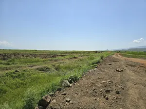 Agricultural Land 900acers