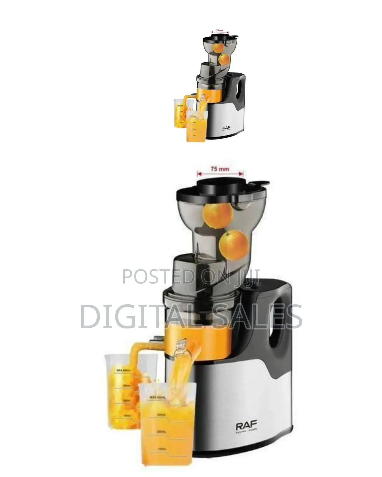 Raf Efficient Slow Juicer/Masticating Juicer