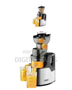 Raf Efficient Slow Juicer/Masticating Juicer
