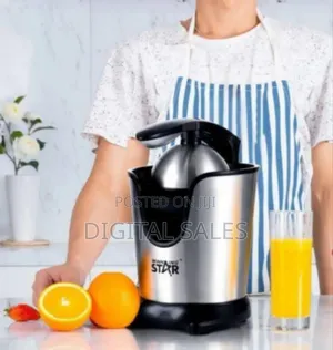 Winning Star Electric Citru Juicer With Stainless Steel Finish, 300ml