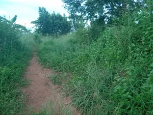 Land For Sale: 45 Acres Of Private Mailo At Sanga Matugga