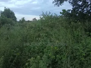Land For Sale: 45 Acres Of Private Mailo At Sanga Matugga