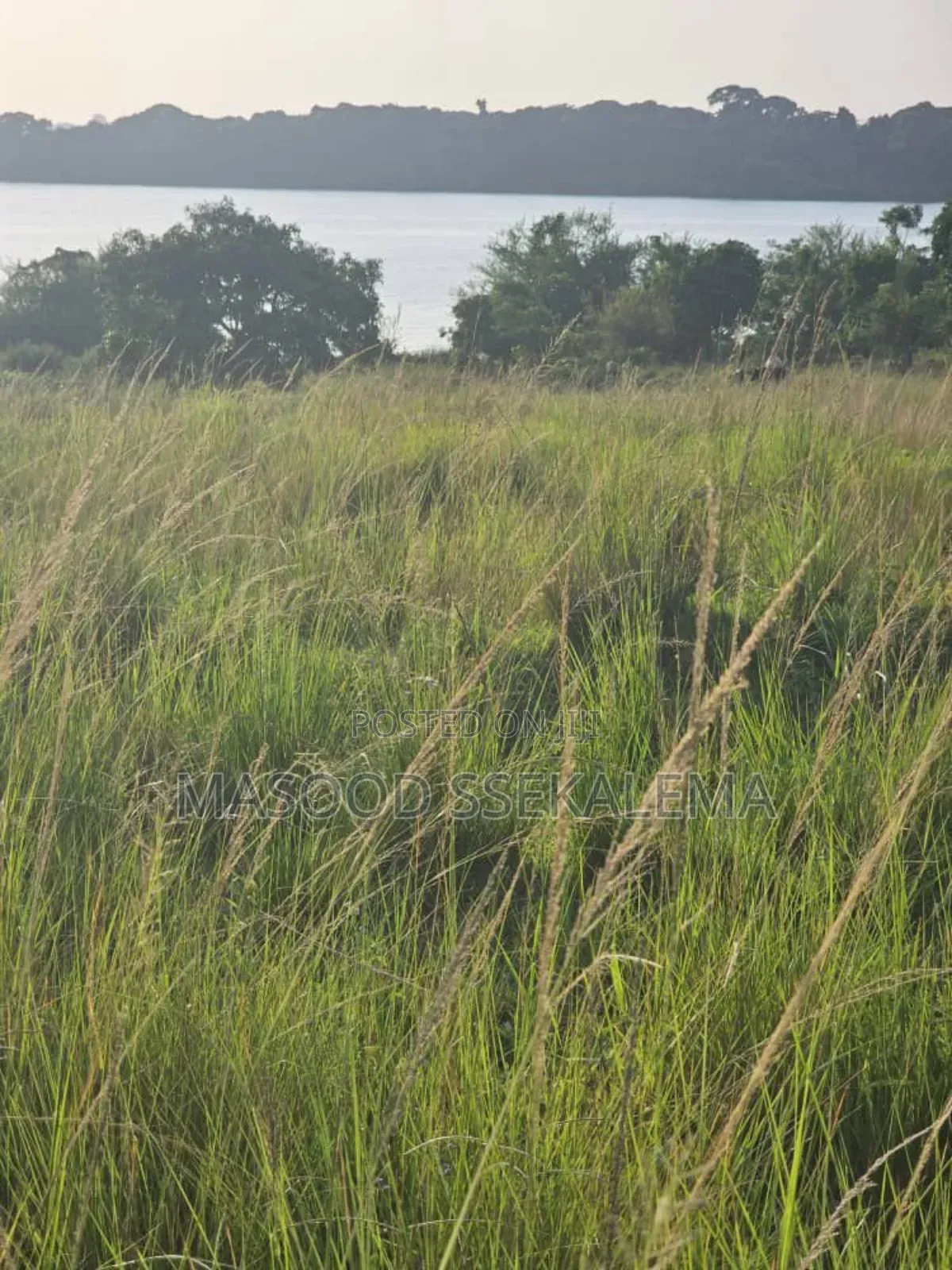 Lakefront Land for Sale in Garuga, Entebbe!