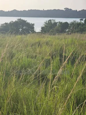 Lakefront Land for Sale in Garuga, Entebbe!