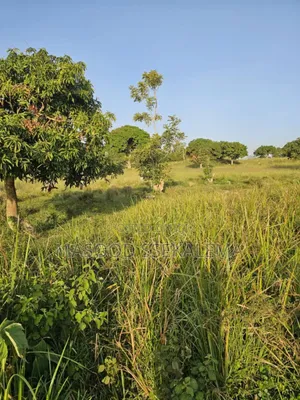 Lakefront Land for Sale in Garuga, Entebbe!