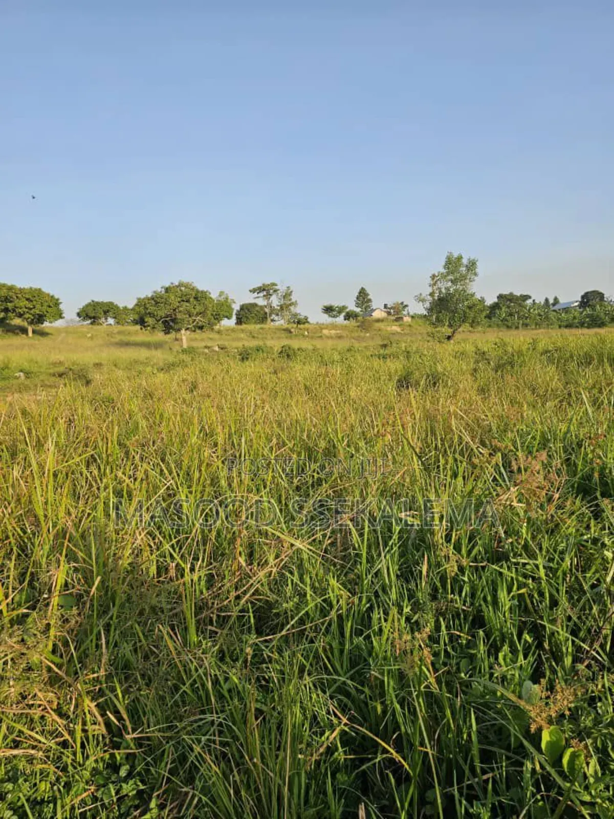 Lakefront Land for Sale in Garuga, Entebbe!