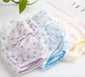 5pcs Premium Quality Women Disposable Panties/Nickers