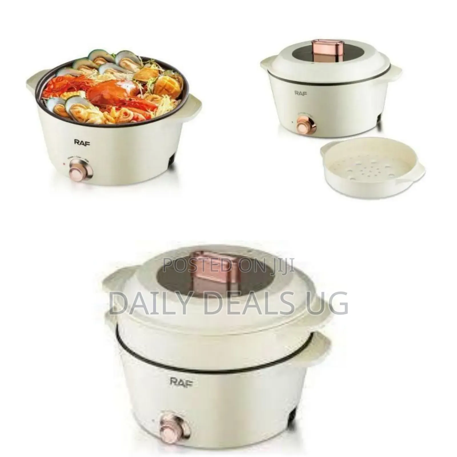 Raf Multi-Functional Electric Hot Pot and Steamer System - Multicolor