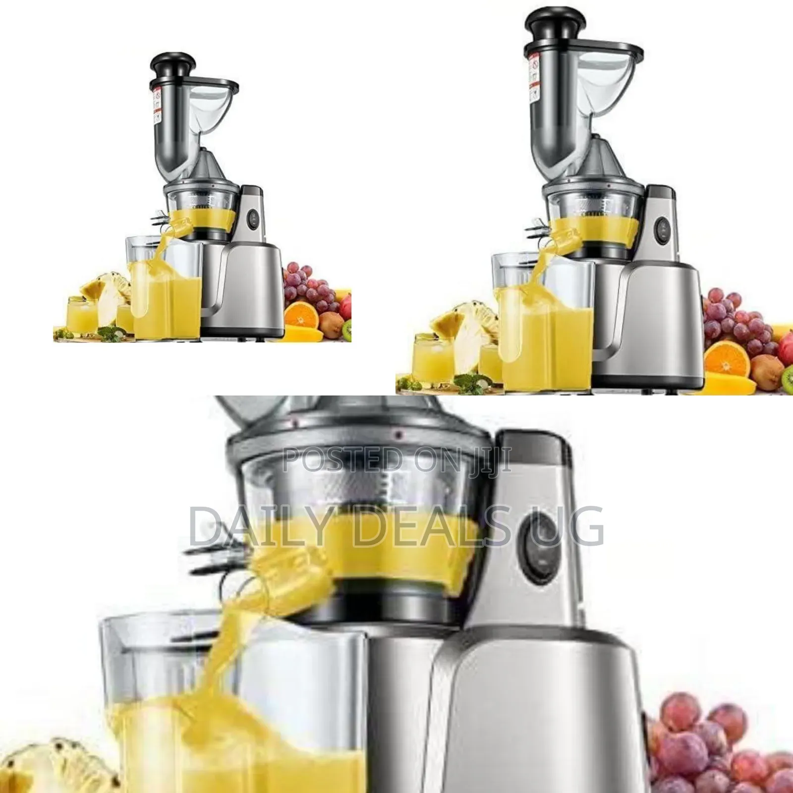 Hoffmans Professional Slow Masticating Juicer and Nutrient Extractor